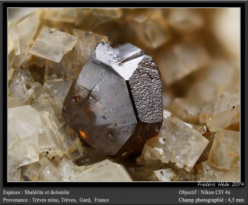Sphalerite and Dolomite<br />Trèves Mine, Fournels Valley, Trèves, Gard, Occitanie, France<br />fov 4.5 mm<br /> (Author: ploum)