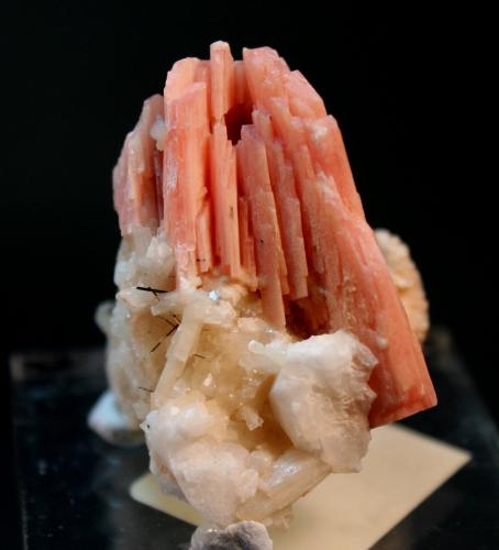 Serandite, Natrolite, Aegerine<br />Mont Saint-Hilaire, La Vallée-du-Richelieu RCM, Montérégie, Québec, Canada<br />4.3 x 3.5 cm<br /> (Author: Don Lum)