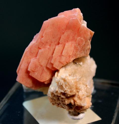 Serandite, Natrolite, Aegerine<br />Mont Saint-Hilaire, La Vallée-du-Richelieu RCM, Montérégie, Québec, Canada<br />4.3 x 3.5 cm<br /> (Author: Don Lum)