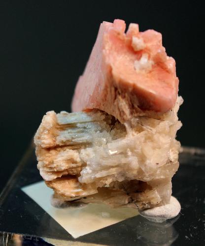 Serandite, Natrolite, Aegerine<br />Mont Saint-Hilaire, La Vallée-du-Richelieu RCM, Montérégie, Québec, Canada<br />4.3 x 3.5 cm<br /> (Author: Don Lum)