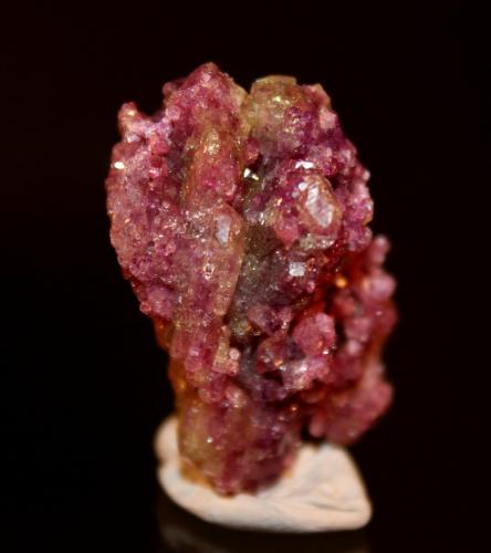 Vesuvianite var. manganoan vesuvianite<br />Mina Jeffrey, Asbestos, Les Sources RCM, Estrie, Québec, Canadá<br />3.5 x 2.0 cm<br /> (Author: Don Lum)