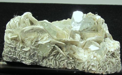 Beryl (var. aquamarine), Muscovite<br />Shigar Valley, Shigar District, Gilgit-Baltistan (Northern Areas), Pakistan<br />85 MM X 83 MM X 45 MM<br /> (Author: steven calamuci)