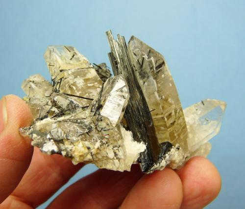 Foitite (Tourmaline Group) in and on Quartz and feldspar<br />Erongo Mountain, Usakos, Erongo Region, Namibia<br />82 x 49 x 38 mm<br /> (Author: Pierre Joubert)