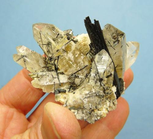 Foitite (Tourmaline Group) in and on Quartz and feldspar<br />Erongo Mountain, Usakos, Erongo Region, Namibia<br />82 x 49 x 38 mm<br /> (Author: Pierre Joubert)