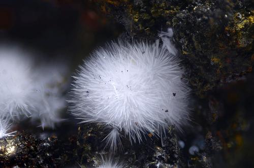 Canavesita<br />Brosso Mine, Cálea, Léssolo, Canavese District, Metropolitan City of Turin Province, Piedmont (Piemonte), Italy<br />Campo de visión 2,8 mm<br /> (Autor: Juan Miguel)