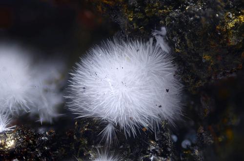 Canavesita<br />Mina Brosso, Cálea, Léssolo, Distrito Canavese, Provincia Ciudad metropolitana de Turín, Piamonte (Piemonte), Italia<br />Campo de visión 2,8 mm<br /> (Autor: Juan Miguel)