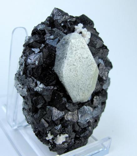 Scheelite, magnetite<br />Huanggang Mines, Hexigten Banner (Kèshíkèténg Qí), Chifeng (Ulanhad), Inner Mongolia Autonomous Region, China<br />67 mm x 56 mm. Scheelite crystal: 30.0 mm tall<br /> (Author: Carles Millan)