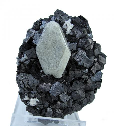 Scheelita, magnetita<br />Huanggang Mines, Hexigten Banner (Kèshíkèténg Qí), Chifeng (Ulanhad), Inner Mongolia Autonomous Region, China<br />67 mm x 56 mm. Scheelita: 30.0 mm de altura<br /> (Autor: Carles Millan)