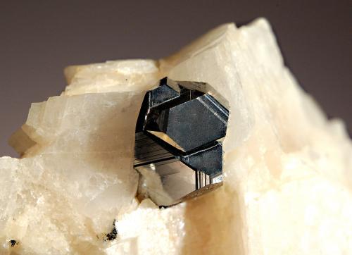 Carrollite<br />Kamoya South II Mine, Kamoya, Kambove District, Katanga Copper Crescent, Katanga (Shaba), Democratic Republic of the Congo (Zaire)<br />4.8 x 5.1 cm. FOV ~ 3 cm<br /> (Author: crosstimber)