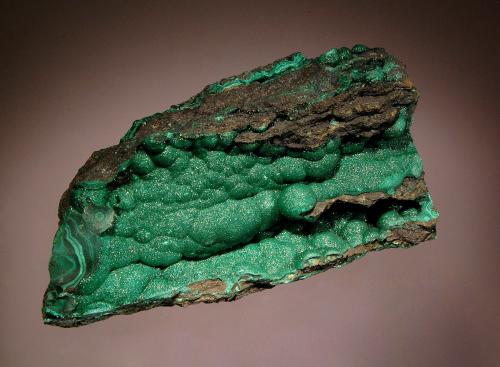 Malachite<br />Mashamba West Mine, Kolwezi District, Lualaba, Katanga Copper Crescent, Katanga (Shaba), Democratic Republic of the Congo (Zaire)<br />6.5 x 12.5 cm<br /> (Author: crosstimber)