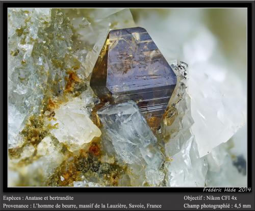 Anatase, Bertrandite<br />L'Homme de Beurre, Macizo La Lauzière, Saint-Jean-de-Maurienne, Saboya, Auvergne-Rhône-Alpes, Francia<br />fov 4.5 mm<br /> (Author: ploum)