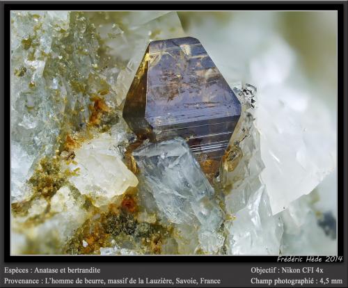 Anatase, Bertrandite<br />L'Homme de Beurre, La Lauzière Massif, Saint-Jean-de-Maurienne, Savoie, Auvergne-Rhône-Alpes, France<br />fov 4.5 mm<br /> (Author: ploum)