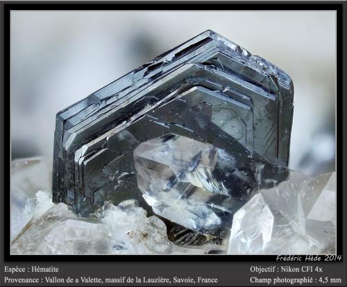 Hematite, Quartz<br />Vallon de la Valette, La Lauzière Massif, Saint-Jean-de-Maurienne, Savoie, Auvergne-Rhône-Alpes, France<br />fov 4.5 mm<br /> (Author: ploum)