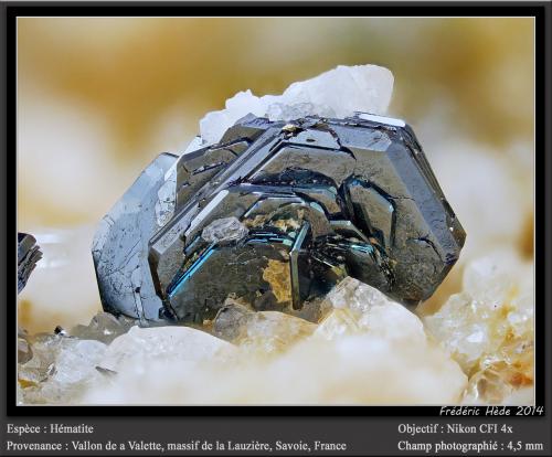 Hematite<br />Vallon de la Valette, La Lauzière Massif, Saint-Jean-de-Maurienne, Savoie, Auvergne-Rhône-Alpes, France<br />fov 4.5 mm<br /> (Author: ploum)