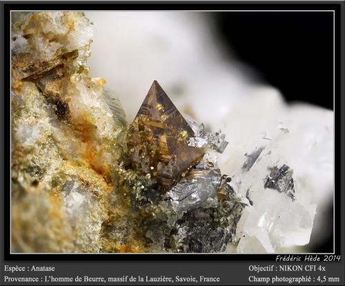 Anatase<br />L'Homme de Beurre, Macizo La Lauzière, Saint-Jean-de-Maurienne, Saboya, Auvergne-Rhône-Alpes, Francia<br />fov 4.5 mm<br /> (Author: ploum)