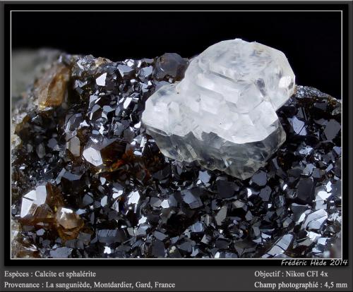 Calcite<br />La Sanguinède Mine, Les Malines mining district, Saint-Laurent-le-Minier, Le Vigan, Gard Department, Occitanie, France<br />fov 4.5 mm<br /> (Author: ploum)