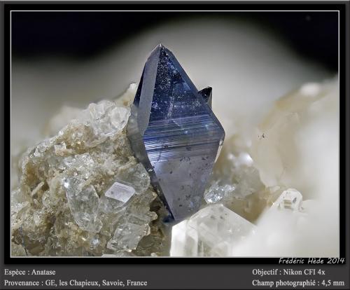 Anatase<br />Les Chapieux, Bourg-St Maurice, Tarentaise Valley, Albertville, Savoie, Auvergne-Rhône-Alpes, France<br />fov 4,5 mm<br /> (Author: ploum)