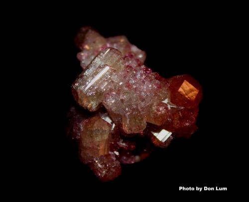 Vesuvianite (var. manganoan vesuvianite)<br />Mina Jeffrey, Asbestos, Les Sources RCM, Estrie, Québec, Canadá<br />3.4 x 2.2 cm<br /> (Author: Don Lum)
