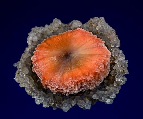 Scolecite, Quartz (var. chalcedony)<br />Chandanapuri, Samgamner, Ahmadnagar District, Maharashtra, India<br />4.8 x 4.2 cm<br /> (Author: am mizunaka)