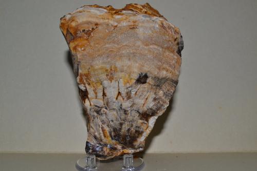 Barita (variedad Oakstone)<br />La Cabaña, Valdelmar, Berbes mining area, Berbes, Ribadesella, Comarca Oriente, Principality of Asturias (Asturias), Spain<br />10x10x8 cm.<br /> (Autor: Raul S. Llorente)