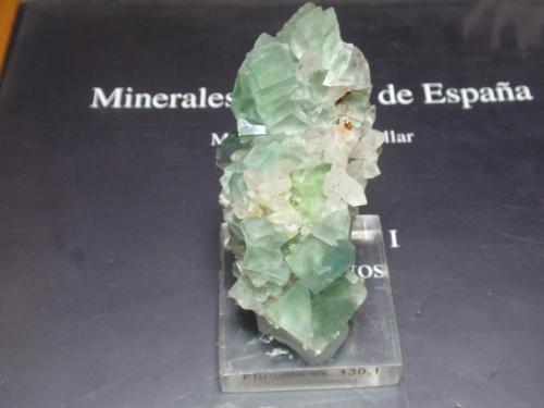 Fluorita<br />Mina Okorusu, Distrito Otjiwarongo, Región Otjozondjupa, Namibia<br />30x70 mm<br /> (Autor: Ignacio)