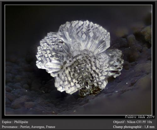 Phillipsite (Series)<br />Perrier, Issoire District, Puy-de-Dôme Department, Auvergne-Rhône-Alpes, France<br />fov 1.8 mm<br /> (Author: ploum)