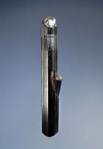 Stibnite<br />Mina Ichinokawa, Saijo, Prefectura Ehime, Isla Shikoku, Japón<br />1.5 x 7.3 cm<br /> (Author: crosstimber)