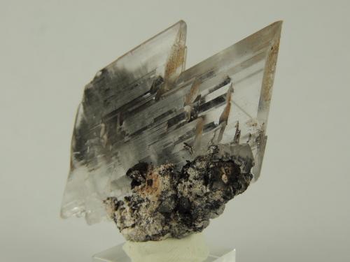 Gypsum (var. selenite)<br />Naica Mine, Naica, Municipio Saucillo, Chihuahua, Mexico<br />5.5 x 4 x 2.4 centimeters<br /> (Author: Ricardo Melendez)