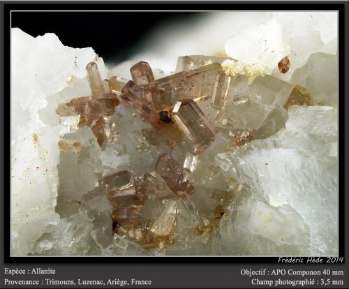 Allanite-(Ce) on Dolomite<br />Trimouns Mine, Luzenac, Haute-Ariège, Foix, Ariège Department, Occitanie, France<br />fov 3.5 mm<br /> (Author: ploum)