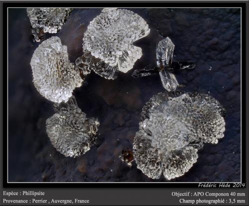 Phillipsite<br />Perrier, Issoire District, Puy-de-Dôme Department, Auvergne-Rhône-Alpes, France<br />fov 3.5 mm<br /> (Author: ploum)