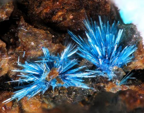 Connellite<br />Cuesta Alta Mine, Cerro Minado, Huércal-Overa, Comarca Levante Almeriense, Almería, Andalusia, Spain<br />fov 2 mm<br /> (Author: Rewitzer Christian)