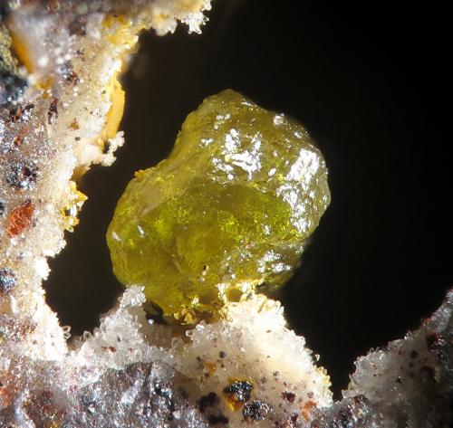 Miersite<br />María Josefa Mine, Rodalquilar, Níjar, Comarca Metropolitana de Almería, Almería, Andalusia, Spain<br />fov 1.2 mm<br /> (Author: Rewitzer Christian)