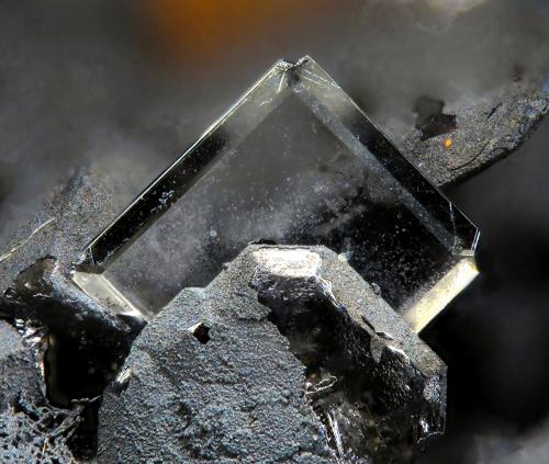 Stolzite<br />La Tala Mine (Teresa mine-Goviendes Mine), La Tala, Comarca Alto Tormes, Salamanca, Castile and León, Spain<br />fov 1.3 mm<br /> (Author: Rewitzer Christian)