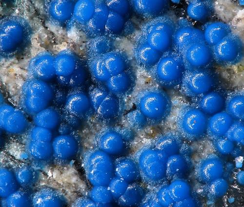 Santarosaite<br />Mina Santa Rosa, Distrito Santa Rosa-Huantajaya, Provincia Iquique, Región Tarapacá, Chile<br />fov 1 mm<br /> (Author: Rewitzer Christian)
