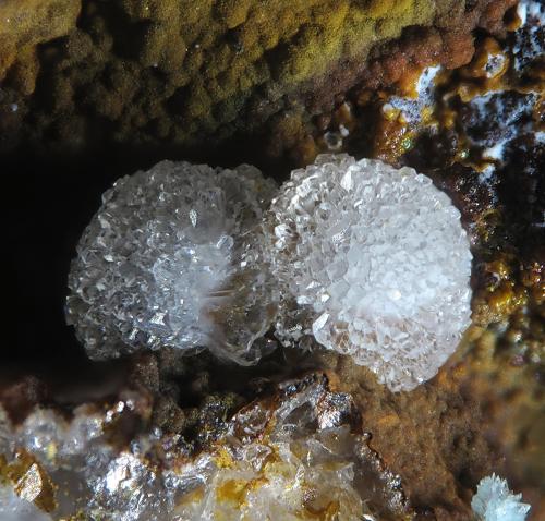 Variscite<br />Palazuelo de las Cuevas, San Vicente de la Cabeza, Comarca Aliste, Zamora, Castilla y León, España<br />fov 1.2 mm<br /> (Author: Rewitzer Christian)