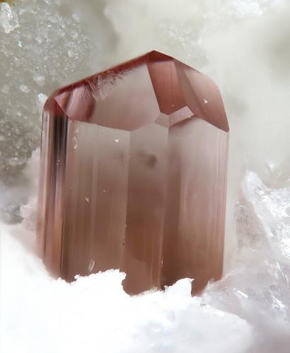 Elbaite (Tourmaline Group)<br />Mina Alvarrões (concesión C-8), Seixo Amarelo-Gonçalo-Vela, Guarda, Distrito Guarda, Región Centro, Portugal<br />fov 5 mm<br /> (Author: Rewitzer Christian)