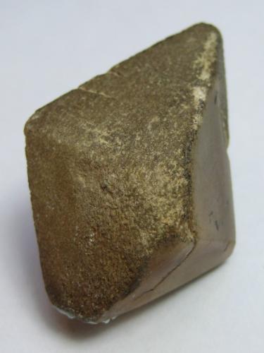 Scheelita<br />Cinovec/Zinnwald, Erzgebirge, Krusné Hory Mts., Ústí Region, Bohemia, Czech Republic<br />35x26 mm.<br /> (Autor: marco campos-venuti)