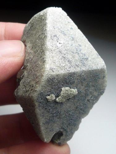 Scheelita con Molibdenita<br />Huanggang Mines, Hexigten Banner (Kèshíkèténg Qí), Chifeng (Ulanhad), Inner Mongolia Autonomous Region, China<br />54x40 mm.<br /> (Autor: marco campos-venuti)