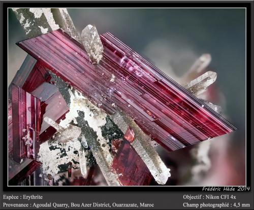 Erythrite with Quartz<br />Cantera Agoudal Centre, Tansifite, Agdz, distrito minero Bou Azzer, Provincia Zagora, Región Drâa-Tafilalet, Marruecos<br />fov 4.5 mm<br /> (Author: ploum)