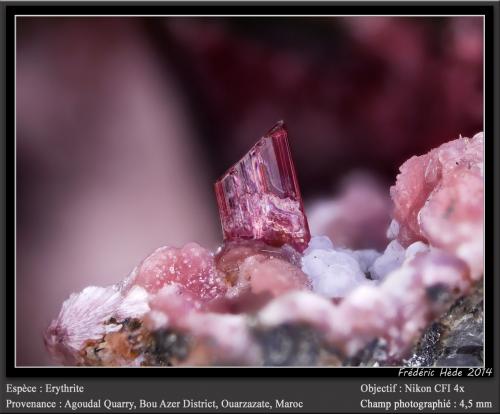 Erythrite<br />Agoudal Centre Quarry, Tansifite, Agdz, Bou Azzer mining district, Zagora Province, Drâa-Tafilalet Region, Morocco<br />fov 4.5 mm<br /> (Author: ploum)