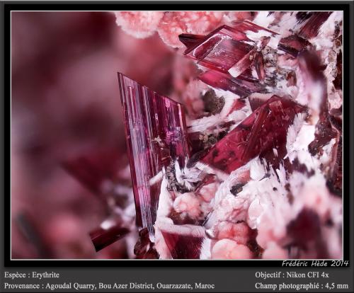 Erythrite<br />Cantera Agoudal Centre, Tansifite, Agdz, distrito minero Bou Azzer, Provincia Zagora, Región Drâa-Tafilalet, Marruecos<br />fov 4.5 mm<br /> (Author: ploum)