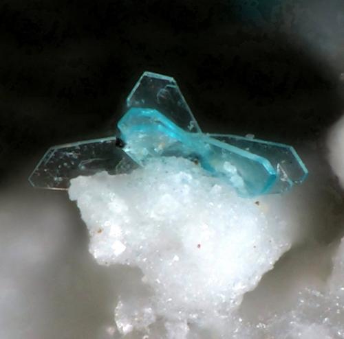 Joteita<br />Jote Mine, Pampa Larga district, Tierra Amarilla, Copiapó Province, Atacama Region, Chile<br />fov 0.4 mm<br /> (Autor: Rewitzer Christian)