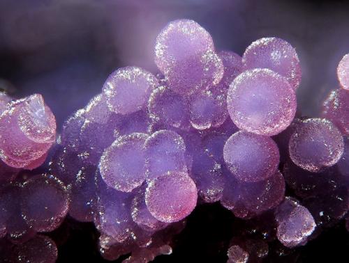 Phosphosiderita<br />Folgosinho, Gouveia, Guarda District, Centro Region, Portugal<br />fov 2.2 mm<br /> (Autor: Rewitzer Christian)