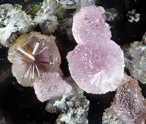 Strengita<br />Folgosinho, Gouveia, Guarda District, Centro Region, Portugal<br />fov 1.3 mm<br /> (Autor: Rewitzer Christian)