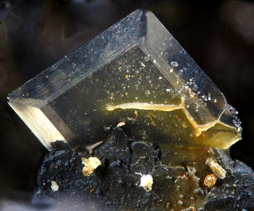 Stolzita<br />La Tala Mine (Teresa mine-Goviendes Mine), La Tala, Comarca Alto Tormes, Salamanca, Castile and León, Spain<br />fov 2.4 mm<br /> (Autor: Rewitzer Christian)