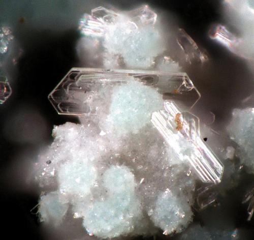 Tapiaita<br />Jote Mine, Pampa Larga district, Tierra Amarilla, Copiapó Province, Atacama Region, Chile<br />fov 0.2 mm<br /> (Autor: Rewitzer Christian)