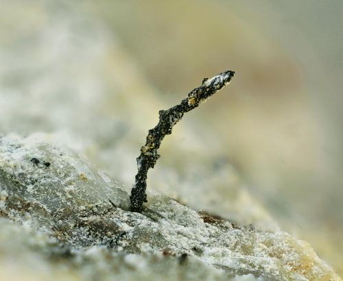 Plata<br />Mina Balcoll, Falset, Comarca Priorat, Tarragona, Cataluña / Catalunya, España<br />Campo de visión de 4 mm.<br /> (Autor: Antonio Carmona)