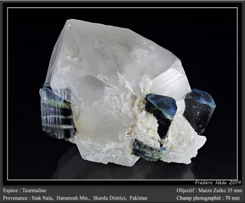 Elbaite (Tourmaline Group)<br />Stak Nala, Montes Haramosh, Distrito Skardu, Gilgit-Baltistan (Áreas del Norte), Paquistán<br />fov 70 mm<br /> (Author: ploum)
