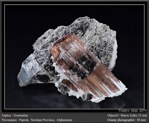 Elbaite (Tourmaline Group)<br />Paprok, Distrito Kamdesh, Provincia Nuristan, Afganistán<br />fov 50 mm<br /> (Author: ploum)