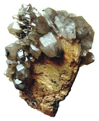 Quartz (var. smoky quartz)<br />Erongorus 166 farm / Bergsig 167 farm, Karibib District, Erongo Region, Namibia<br />Specimen size 11 cm, largest crystal 3,5 cm<br /> (Author: Tobi)